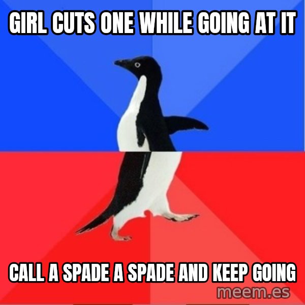 Socially Awkward to Awesome Penguin meme: girl cuts one while going at it / call a spade a spade and keep going