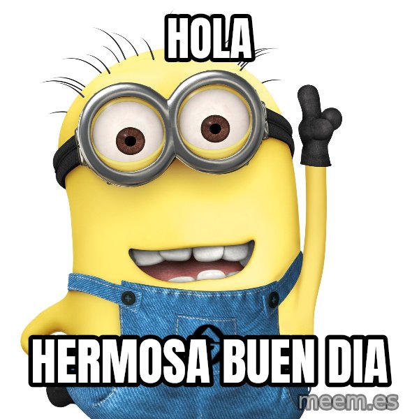 Despicable Me Minion meme: Hola / Hermosa buen dia