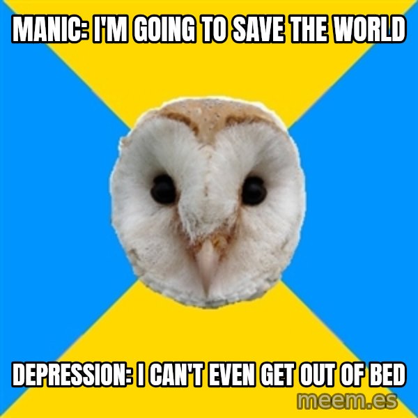 Bipolar Owl meme: manic: i'm going to save the world / depression: i can't even get out of bed
