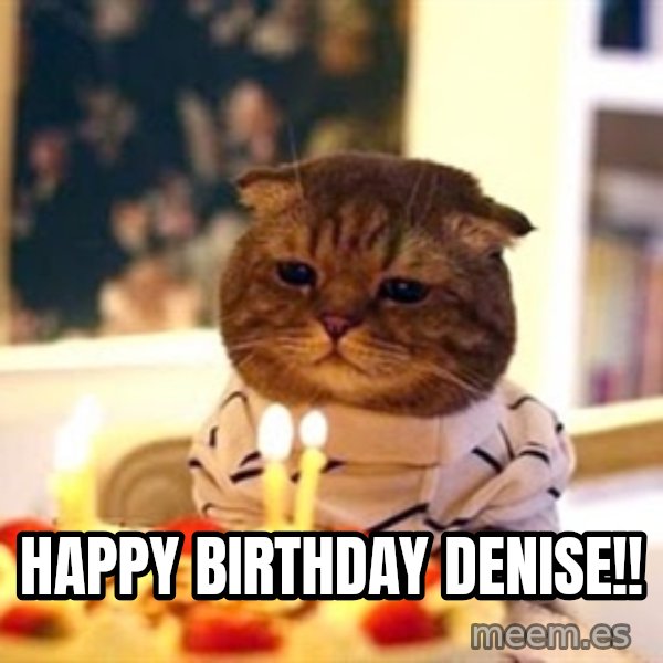 Birthday Cat meme: Happy Birthday Denise!!