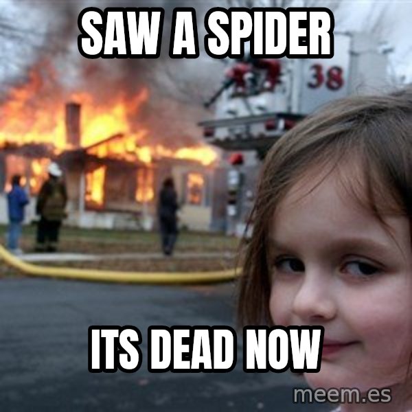 Disaster Girl meme: saw a spider / its dead now