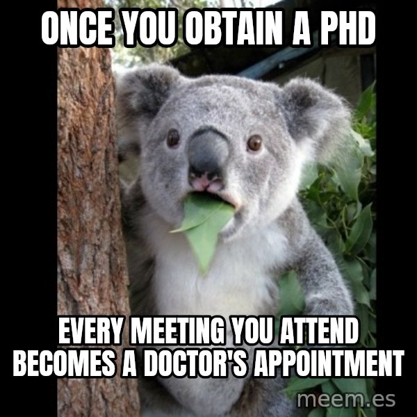 Koala can't believe it meme: Once you obtain a phd / Every meeting you attend becomes a doctor's appointment