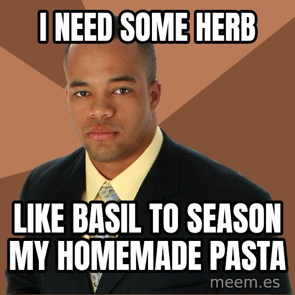 Successful Black Man meme: I need some herb / Like basil to season my homemade pasta