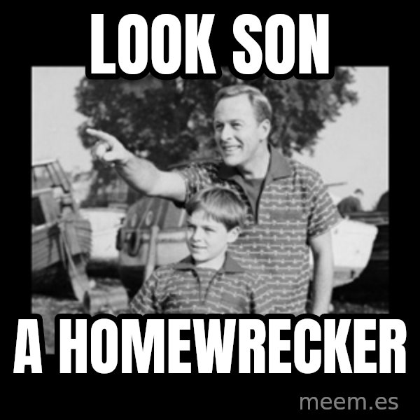 look son a faggot meme: Look son / A homewrecker