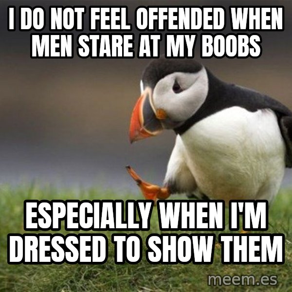 Unpopular Opinion Puffin meme: i do not feel offended when men stare at my boobs / especially when i'm dressed to show them