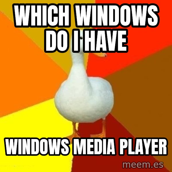 Technologically Impaired Duck meme: Which windows do I have / windows media player