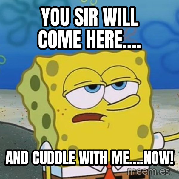 I'll have you know Spongebob meme: You sir will come here.... / And cuddle with me....NOW!