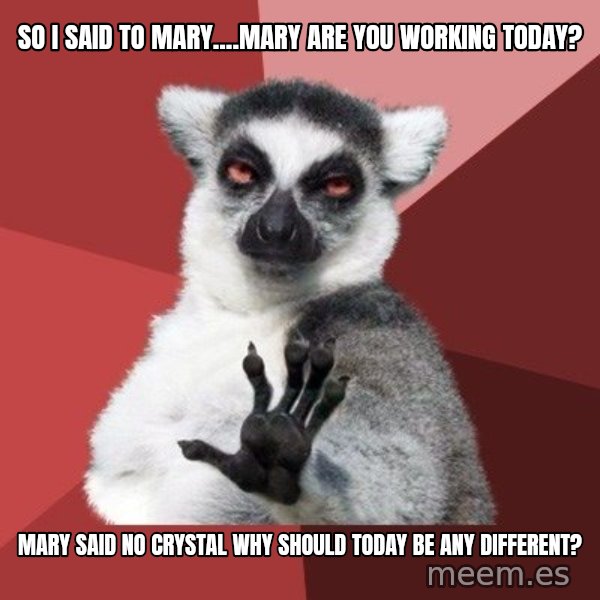Chill Out Lemur meme: So I said to mary....mary are you working today? / Mary said no crystal why should today be any different?