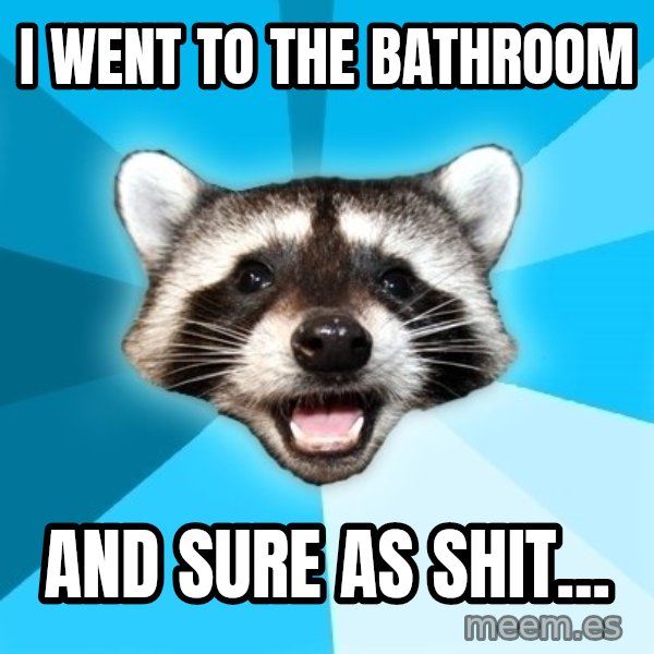 Lame Pun Coon meme: i went to the bathroom / and sure as shit...