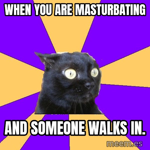 Anxiety Cat meme: when you are masturbating / and someone walks in.
