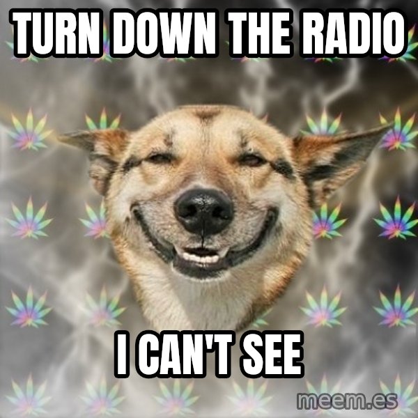 Stoner Dog meme: Turn down the radio / I can't see