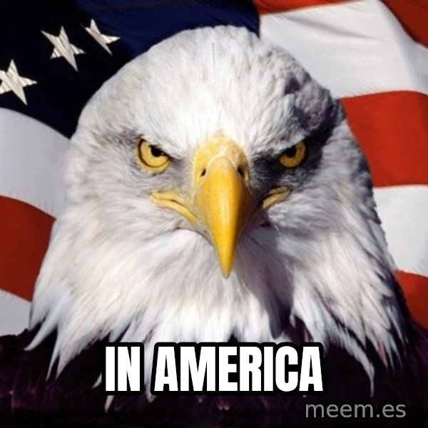 American Pride Eagle meme: In america