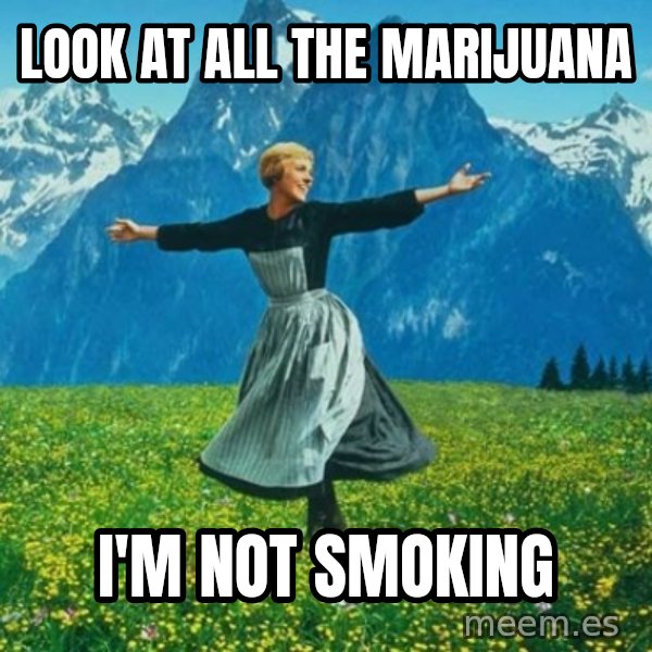 Look at All the Fucks I Give meme: look at all the marijuana / i'm not smoking