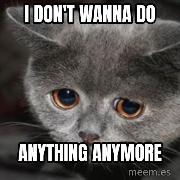 Sadcat meme: I don't wanna do / anything anymore