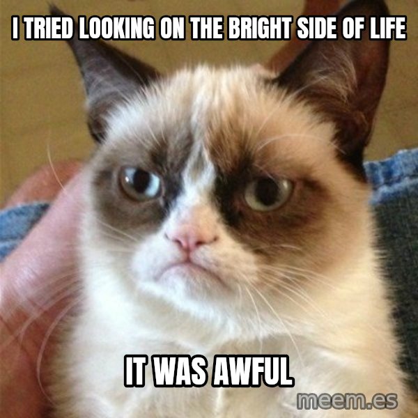 Grumpy Cat  meme: I TRIED LOOKING ON THE BRIGHT SIDE OF LIFE / IT WAS AWFUL
