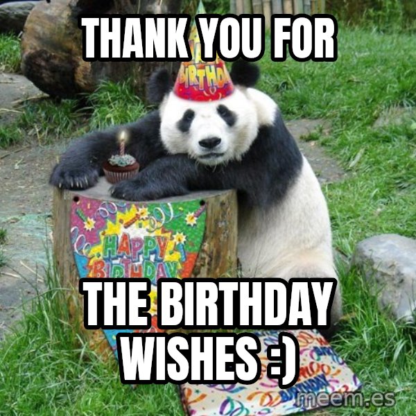 Happy Birthday Panda meme: Thank you for / The birthday wishes :)