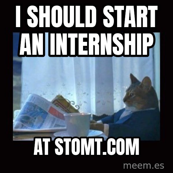 i should buy a boat cat meme: I should start an internship / at stomt.com
