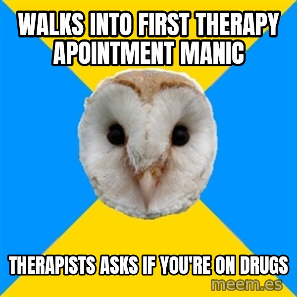 Bipolar Owl meme: walks into first therapy apointment manic / therapists asks if you're on drugs