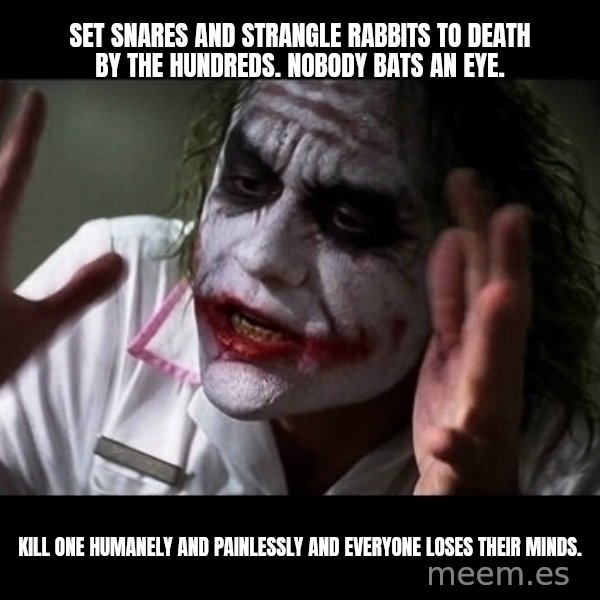 joker mind loss meme: set snares and strangle rabbits to death by the hundreds. nobody bats an eye. / Kill one humanely and painlessly and everyone loses their minds.