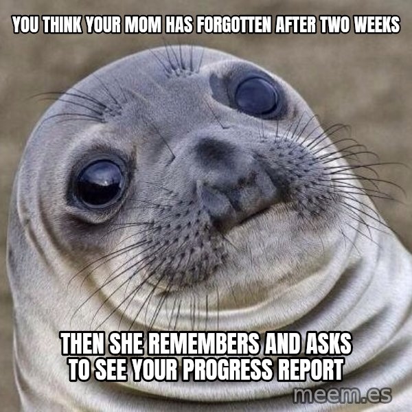 Awkward Seal meme: You think your mom has forgotten after two weeks / Then she remembers and asks to see your progress report