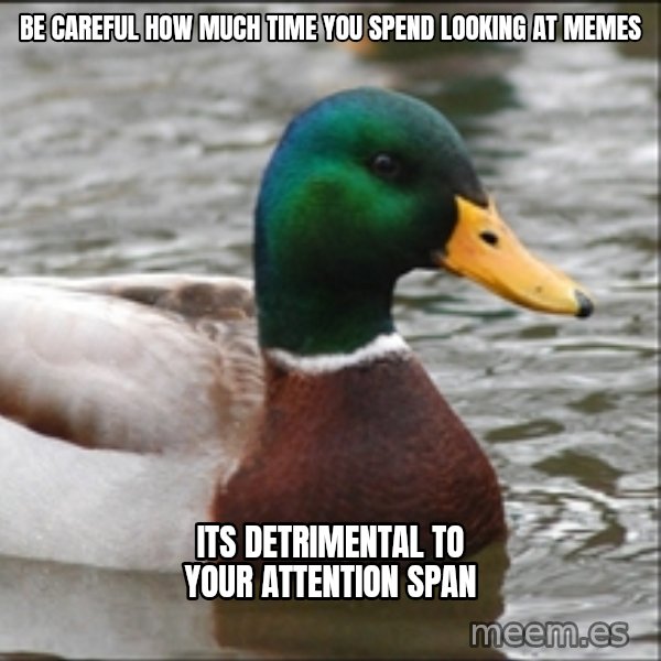 Actual Advice Mallard 1 meme: be careful how much time you spend looking at memes / its DETRIMENTAL to your ATTENTION span
