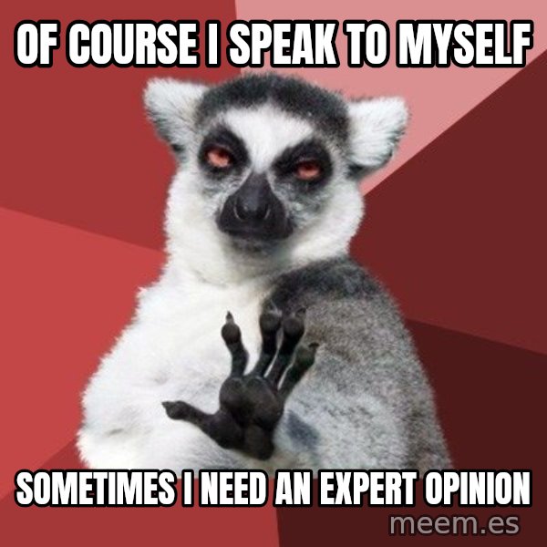 Chill Out Lemur meme: Of course I speak to myself / Sometimes I need an expert opinion