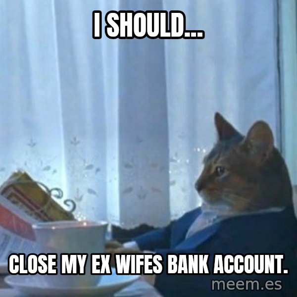 newspaper cat realization meme: i should... / close my ex wifes bank account.