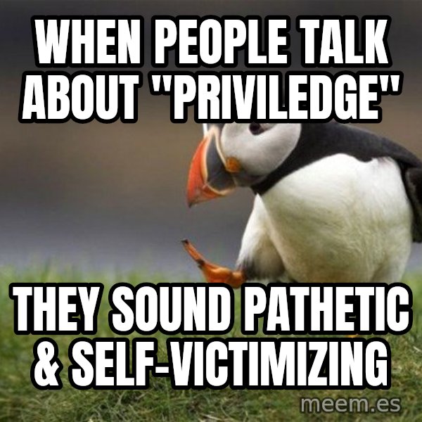 Unpopular Opinion Puffin meme: When people talk about "priviledge" / they sound pathetic & self-victimizing