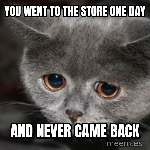 Sadcat meme: you went to the store one day / and never came back