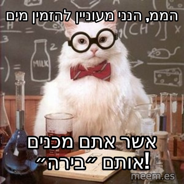 Chemistry Cat meme: הממ, הנני מעוניין להזמין מים / אשר אתם מכנים אותם ״בירה״!