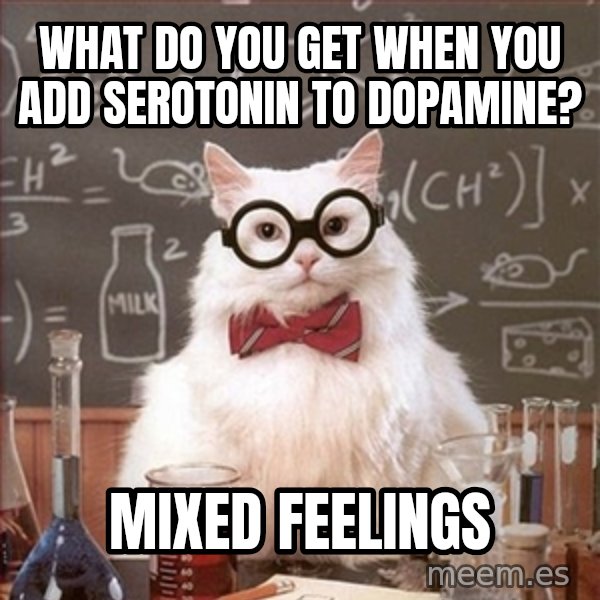 Science Cat meme: What do you get when you add serotonin to dopamine? / mixed feelings