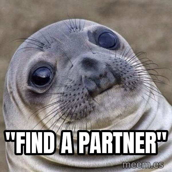 Awkward Seal meme: "FIND A PARTNER"