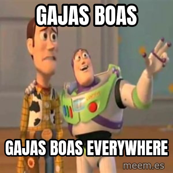 X, X Everywhere  meme: GAJAS BOAS / GAJAS BOAS EVERYWHERE