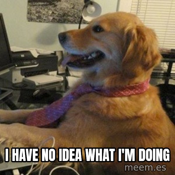 I have no idea what I'm doing - Dog with Tie meme: I HAVE NO IDEA WHAT I'M DOING