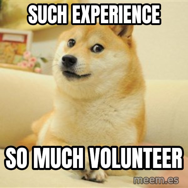 so doge meme: such experience / so much volunteer
