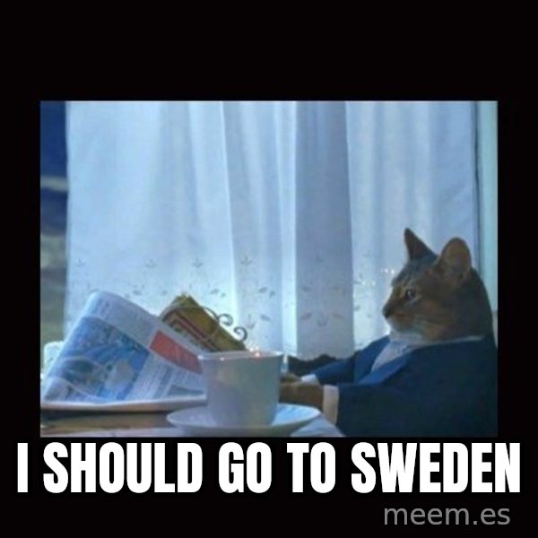 i should buy a boat cat meme: I should go to Sweden