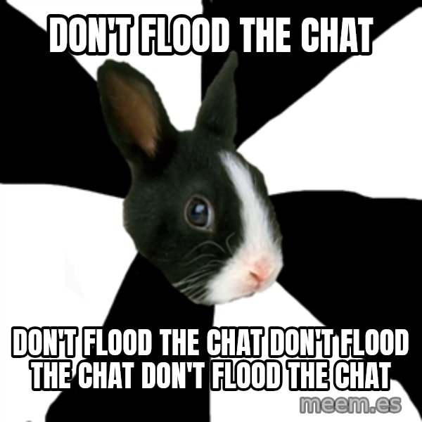 Roleplaying Rabbit meme: don't flood the chat / don't flood the chat don't flood the chat don't flood the chat