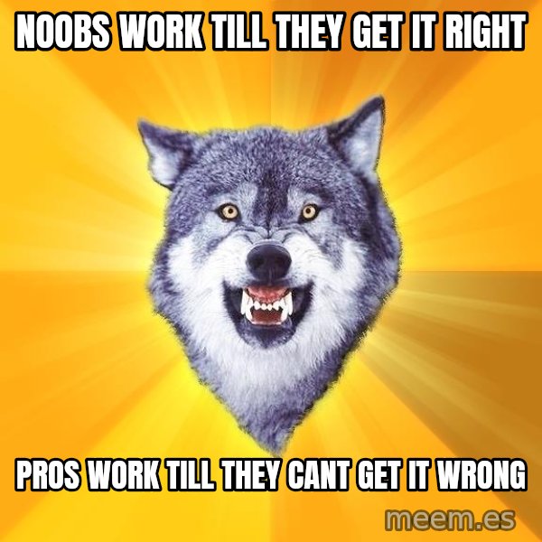 Courage Wolf meme: Noobs work till they get it right / Pros work till they cant get it wrong