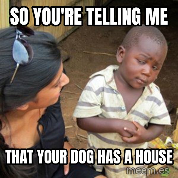Skeptical 3rd World Kid meme: SO YOU'RE TELLING ME / THAT YOUR DOG HAS A HOUSE