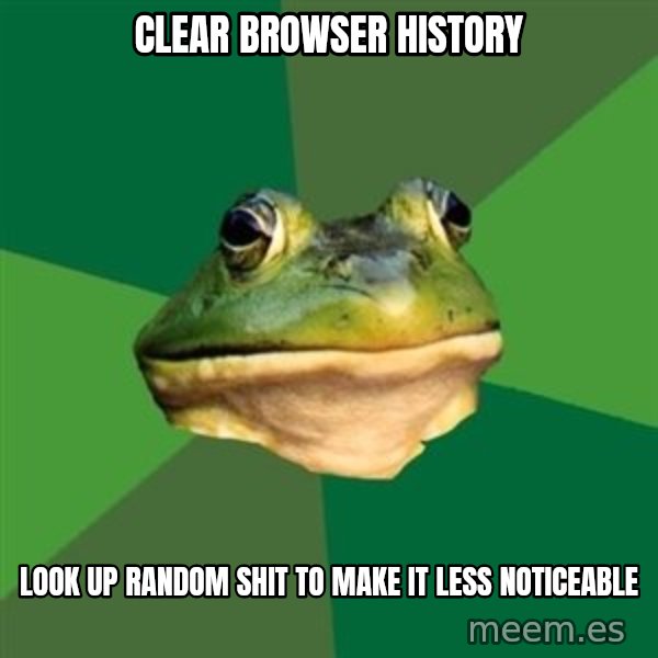 Foul Bachelor Frog meme: Clear browser history / look up random shit to make it less noticeable