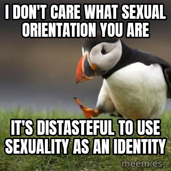Unpopular Opinion Puffin meme: i don't care what sexual orientation you are / it's distasteful to use sexuality as an identity