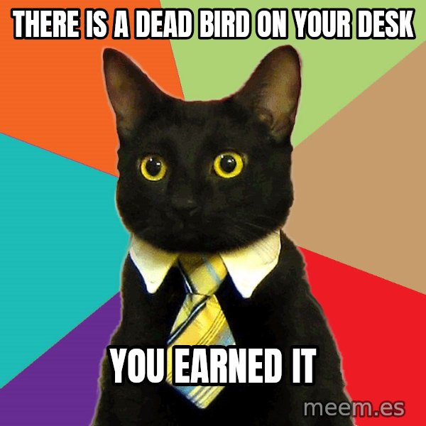 Business Cat meme: there is a dead bird on your desk / you earned it