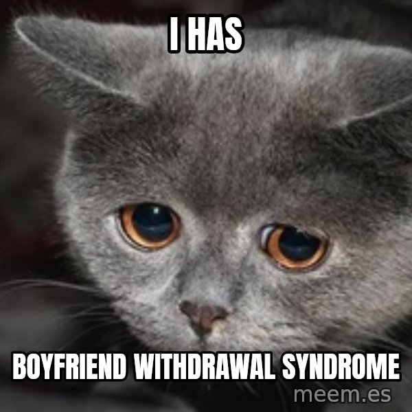 Sadcat meme: i has / boyfriend withdrawal syndrome