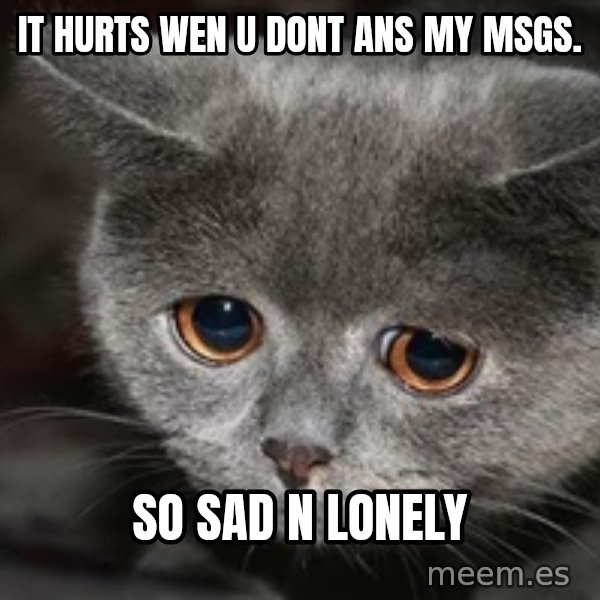 Sadcat meme: it hurts wen u dont ans my msgs. / so sad n lonely