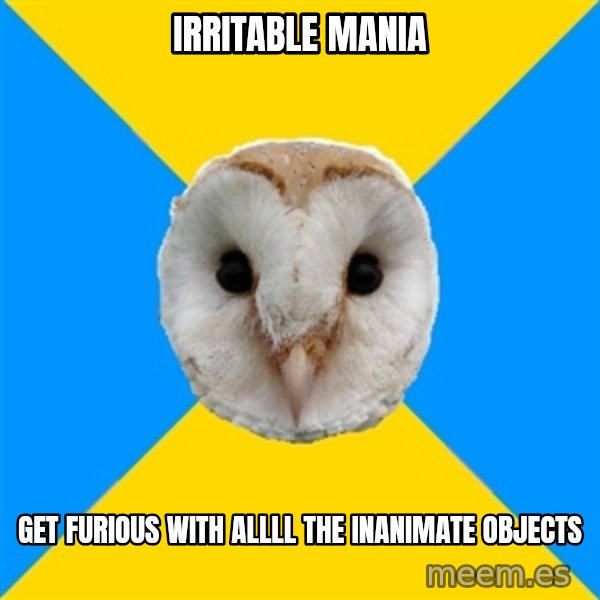 Bipolar Owl meme: irritable mania / get furious with allll the inanimate objects
