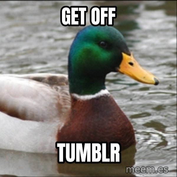 Actual Advice Mallard 1 meme: get off / tumblr