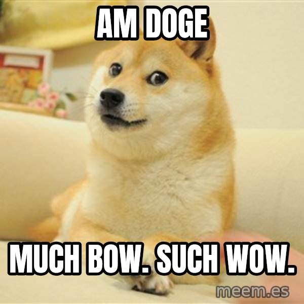 so doge meme: am doge / much bow. such wow.