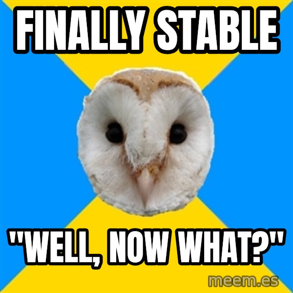Bipolar Owl meme: finally stable / "well, now what?"