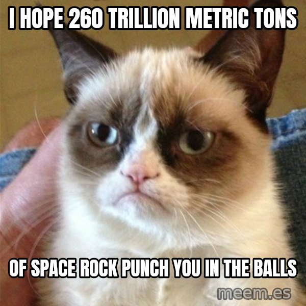 Grumpy Cat  meme: i hope 260 trillion metric tons / of space rock punch you in the balls