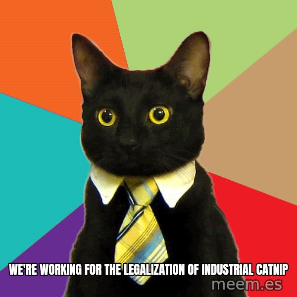 Business Cat meme: we're working for the legalization of industrial catnip